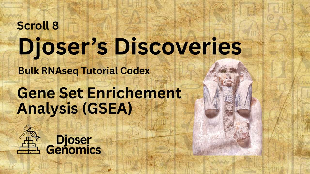 Scroll 8: Djoser's Discoveries